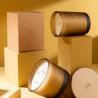 SCENTED CANDLE IN FROSTED GLASS | SANTAL SATINE