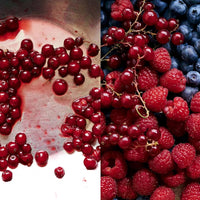 PRESERVED: FRUIT: 25 RECIPES: VOLUME 2