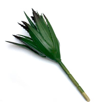 FAUX SUCCULENTS | ALOE