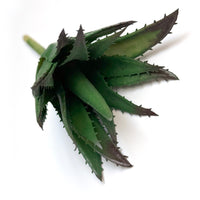 FAUX SUCCULENTS | ALOE