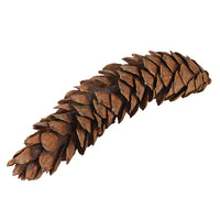 BAG OF LARGE NATURAL STROBUS | 12