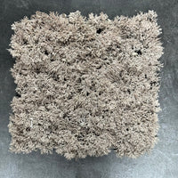 SET 6 FAUX REINDEER LICHEN PANELS 24cm