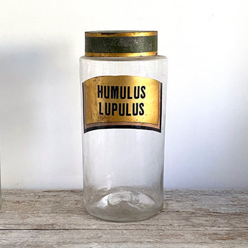 VINTAGE FRENCH  APOTHECARY DISPENSING JAR | HUMULUS LUPULUS