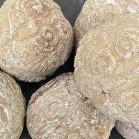 DECORATIVE CONCRETE BALL