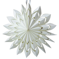 WHITE PAPER STAR | LARGE