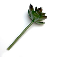 FAUX SUCCULENTS | SMALL ECHEVERIA