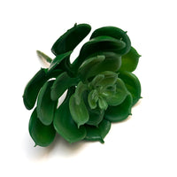 FAUX SUCCULENTS | ECHEVARIA