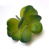 FAUX SUCCULENTS | JADE PLANT