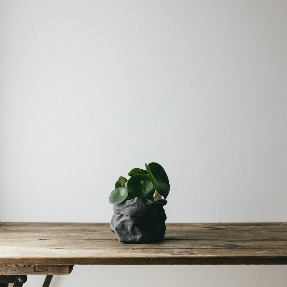 UASHMAMA PAPER BAG PICCOLO MATT