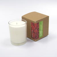 SCENTED CANDLES | 20 SCENTS