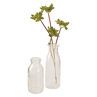SCHOOL MILK BOTTLE