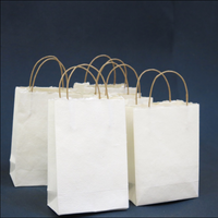 HANDMADE WHITE KHADI PAPER GIFT BAG