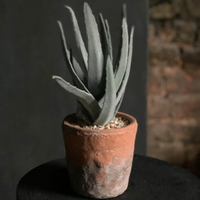 ABIGAIL AHERN FAUX MOUNTAIN ALOE
