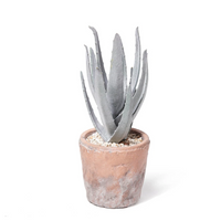 ABIGAIL AHERN FAUX MOUNTAIN ALOE