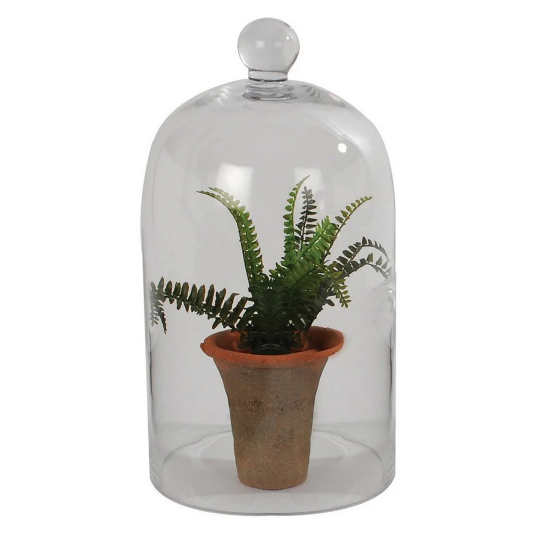 GLASS DOME | LARGE