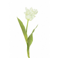 FAUX PARROT TULIP