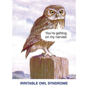 CARD | OWL