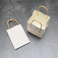 HANDMADE WHITE KHADI PAPER GIFT BAG