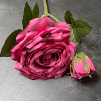 ROSA EDEN ROSE | PINK