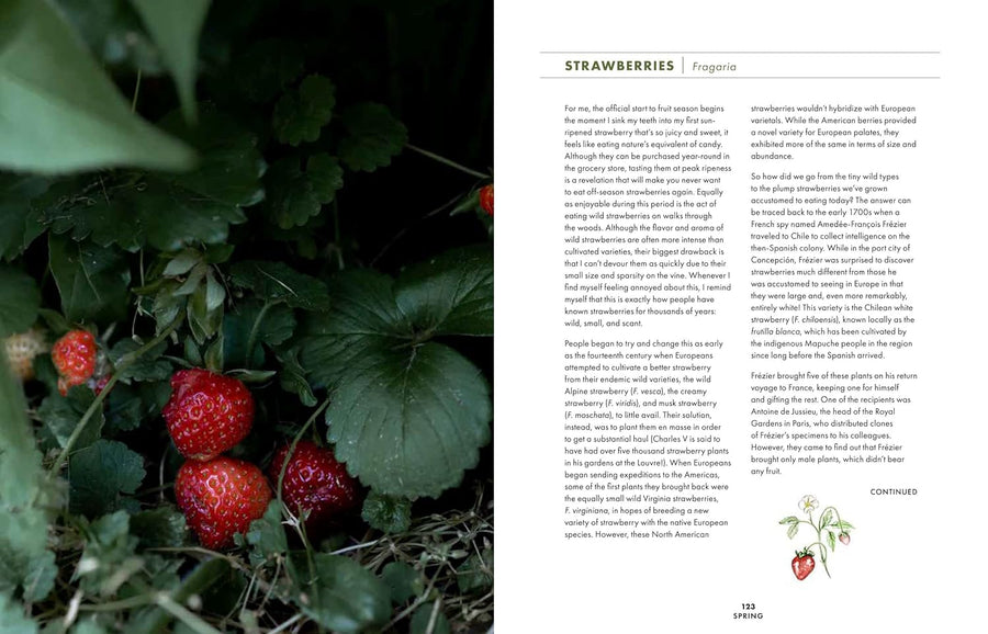 SLOW DRINKS: A FIELD GUIDE TO FORAGING & FERMENTING
