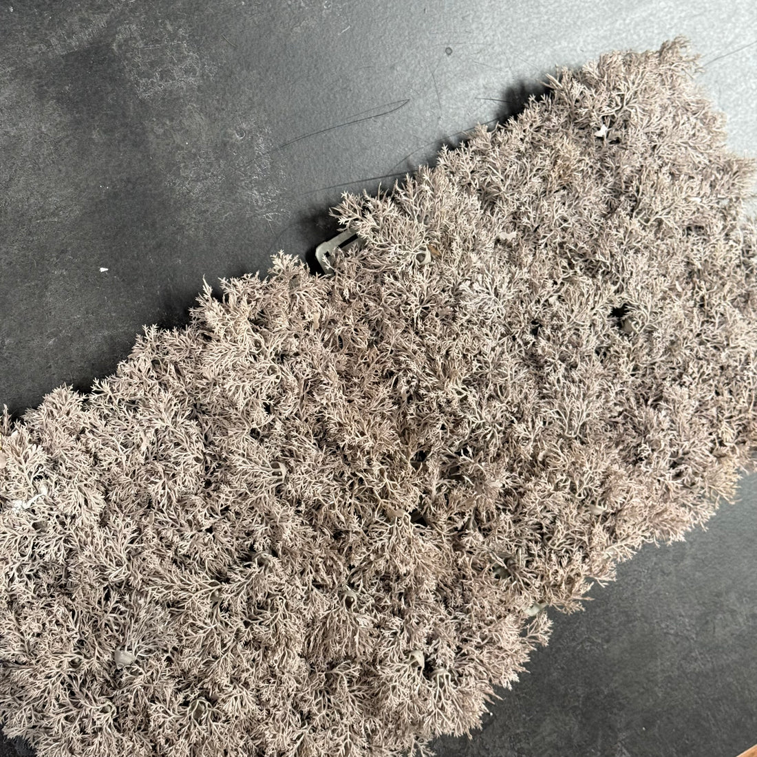 SET 6 FAUX REINDEER LICHEN PANELS 24cm