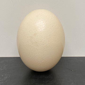 DECORATIVE OSTRICH EGG