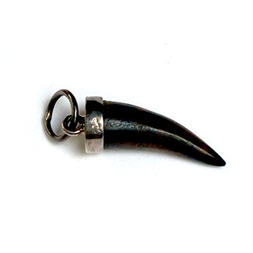 HORN & SILVER CHARM