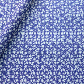 CAMBRIDGE IMPRINT SMALL WRAPPING PAPER | ANIMACULES | TWILIGHT