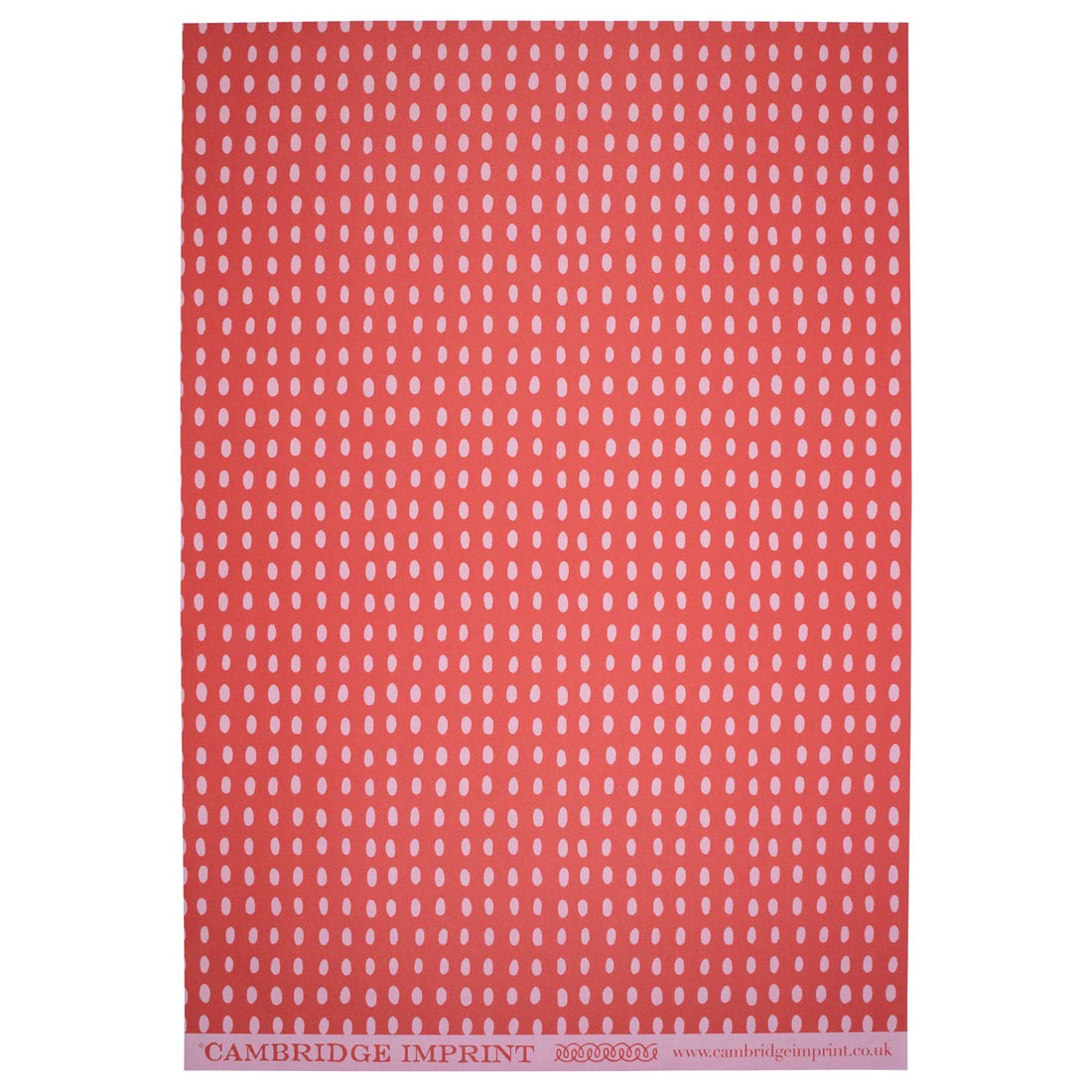 CAMBRIDGE IMPRINT WRAPPING PAPER | BEAN | SUMMER PUDDING