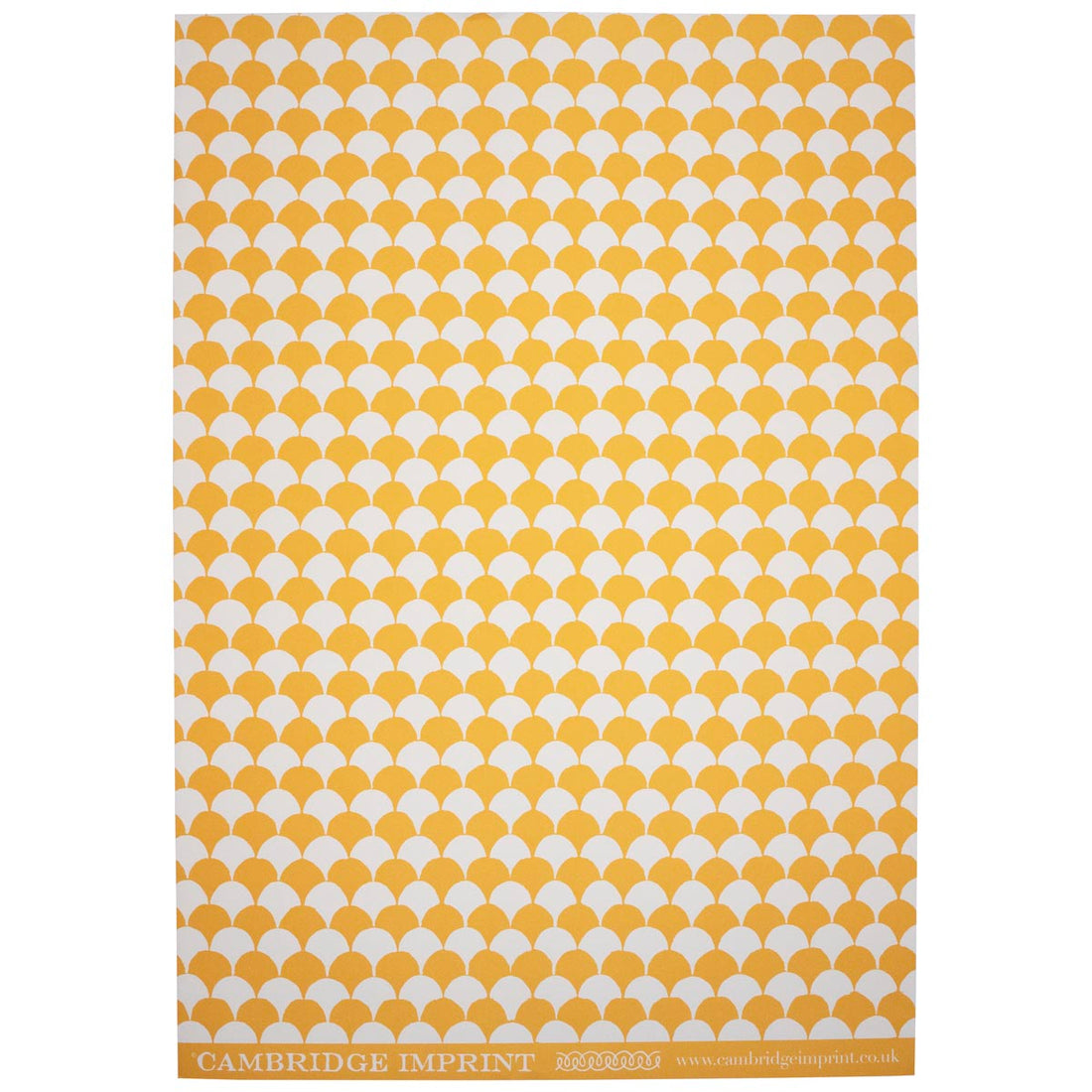 CAMBRIDGE IMPRINT WRAPPING PAPER | CLAMSHELL | ORANGE