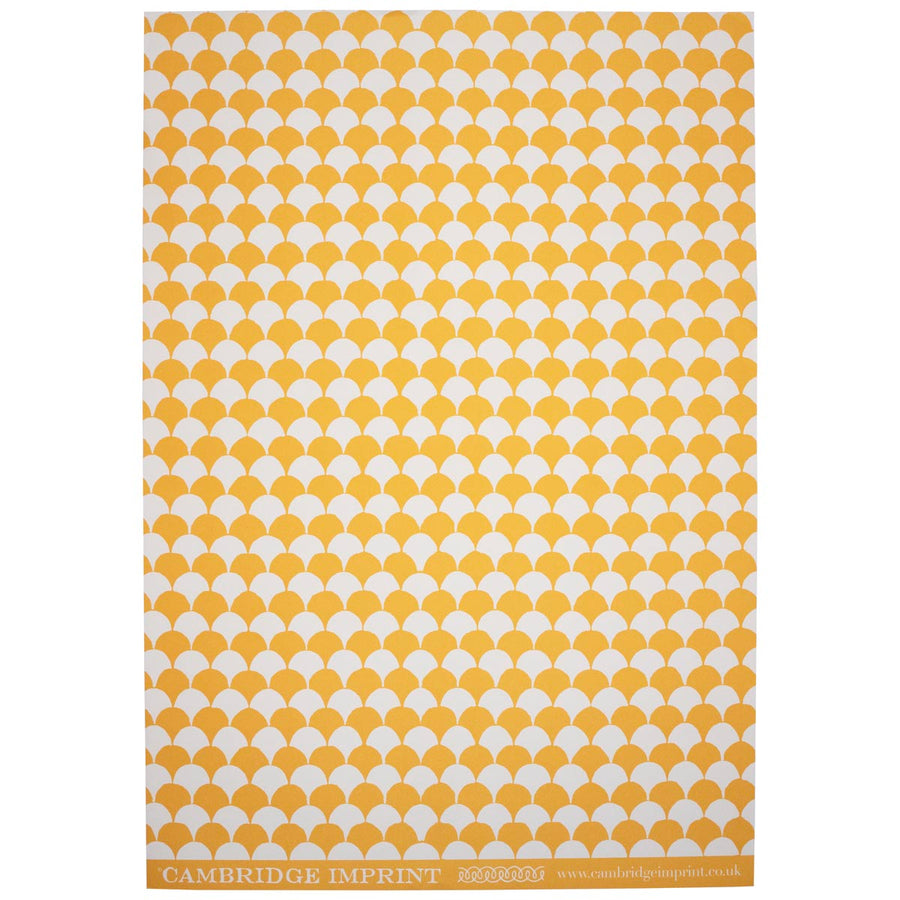 CAMBRIDGE IMPRINT WRAPPING PAPER | CLAMSHELL | ORANGE