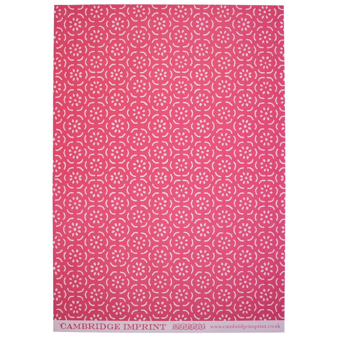 CAMBRIDGE IMPRINT WRAPPING PAPER | PEAR HALVES | ROSE