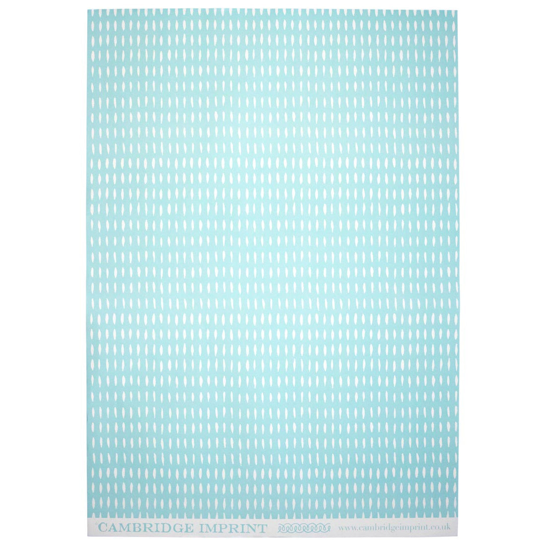 CAMBRIDGE IMPRINT WRAPPING PAPER | SEED | AQUAMARINE
