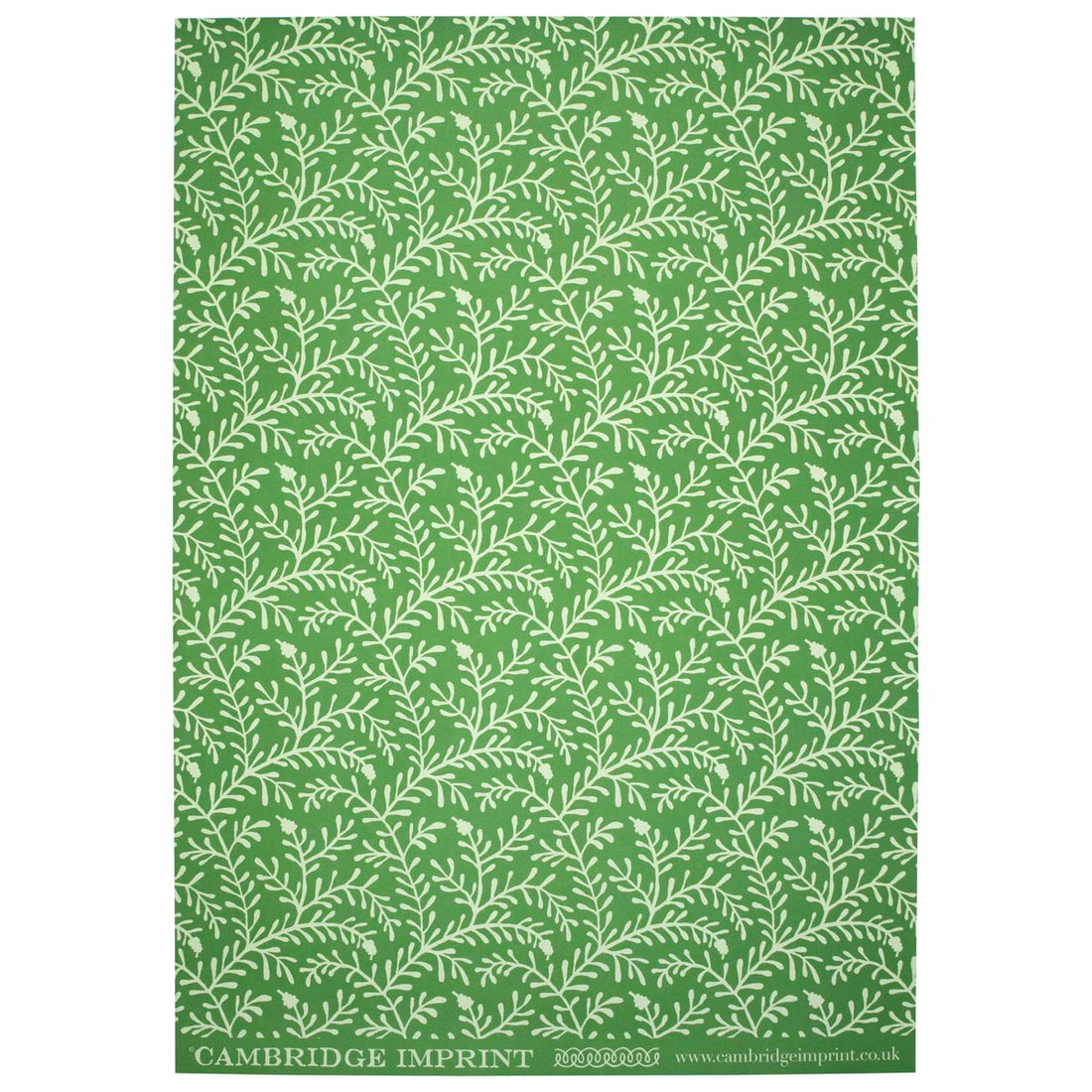 CAMBRIDGE IMPRINT WRAPPING PAPER | SPRIG | PEA GREEN