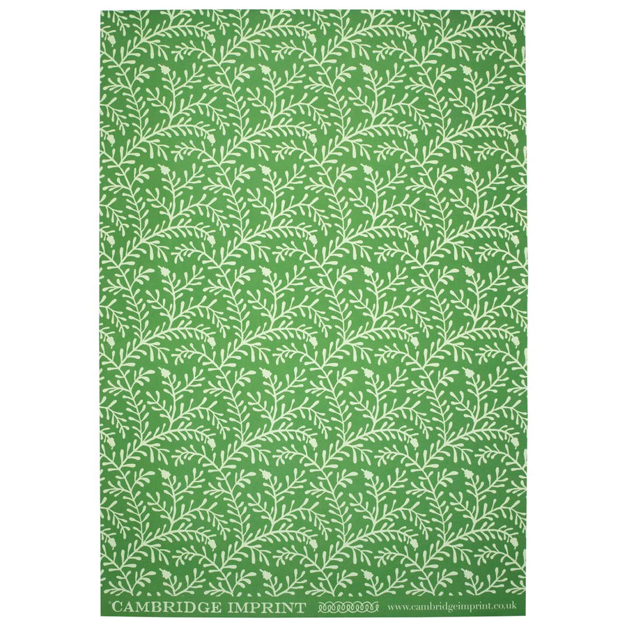 CAMBRIDGE IMPRINT WRAPPING PAPER | SPRIG | PEA GREEN
