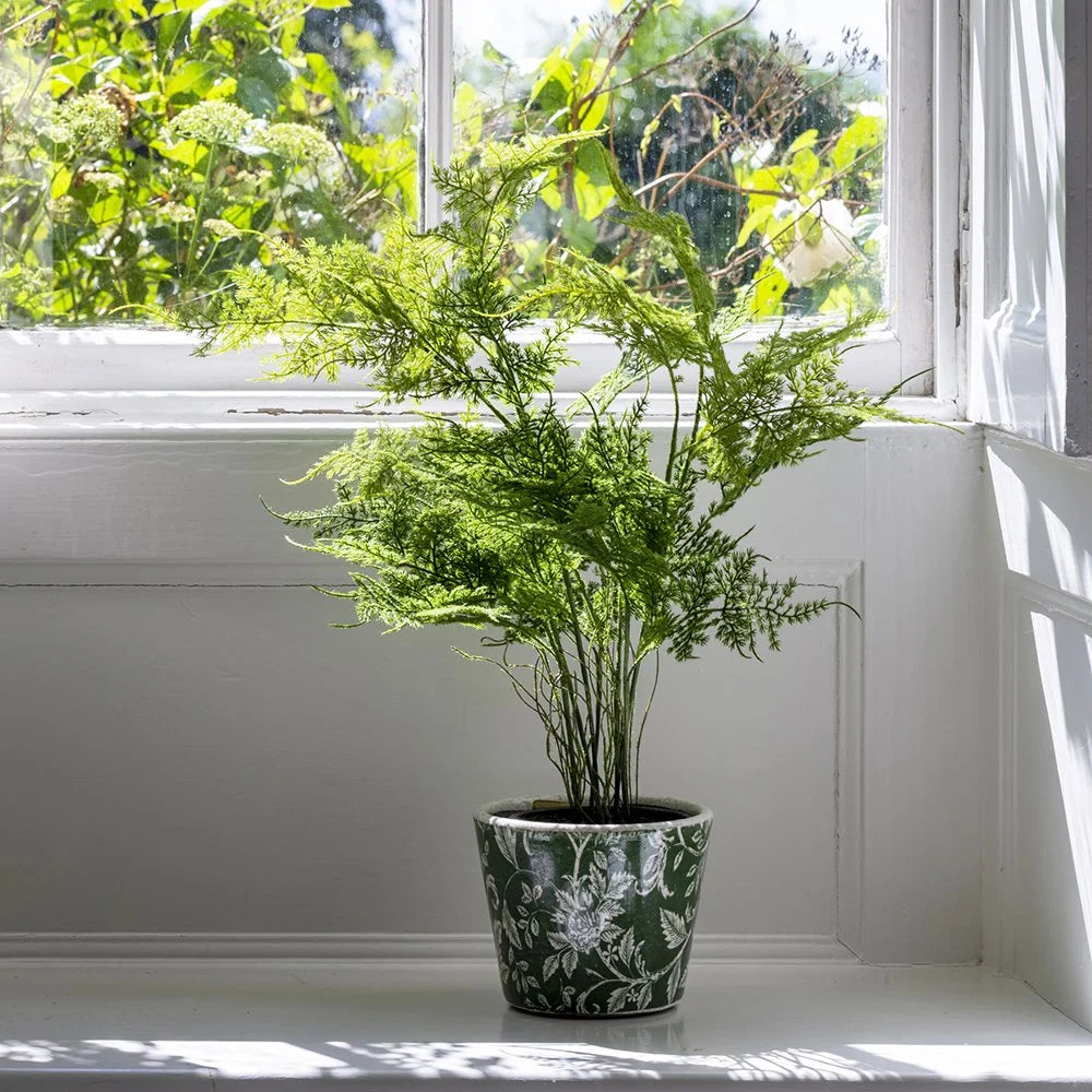 FAUX ASPARAGUS FERN IN POT