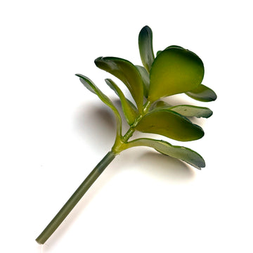 FAUX SUCCULENTS | JADE PLANT