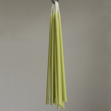 8 CELEBRATION BEESWAX CANDLES | PISTACHIO