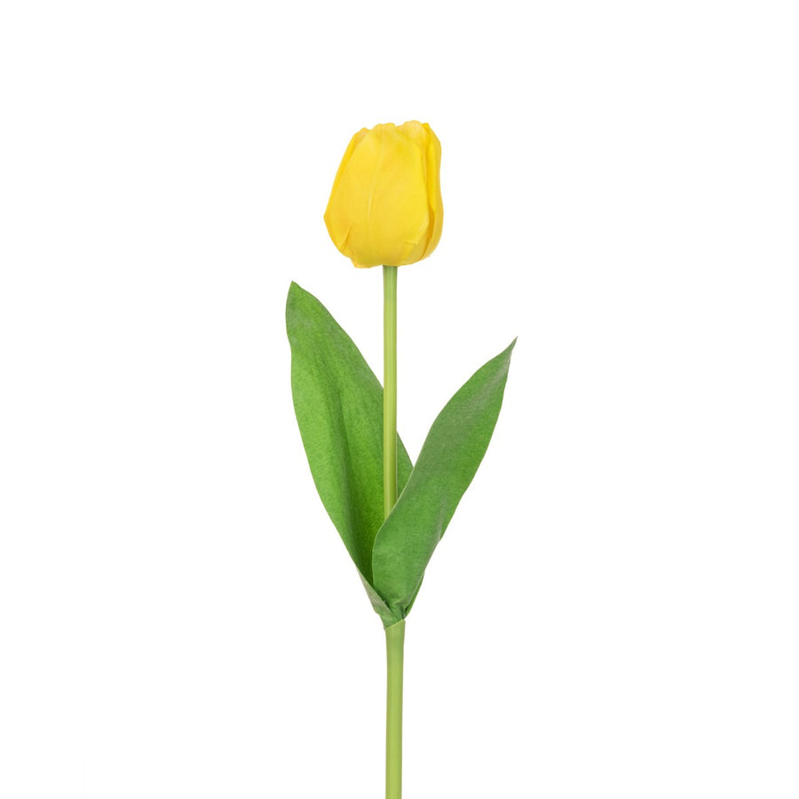 TRIUMPH YELLOW TULIP