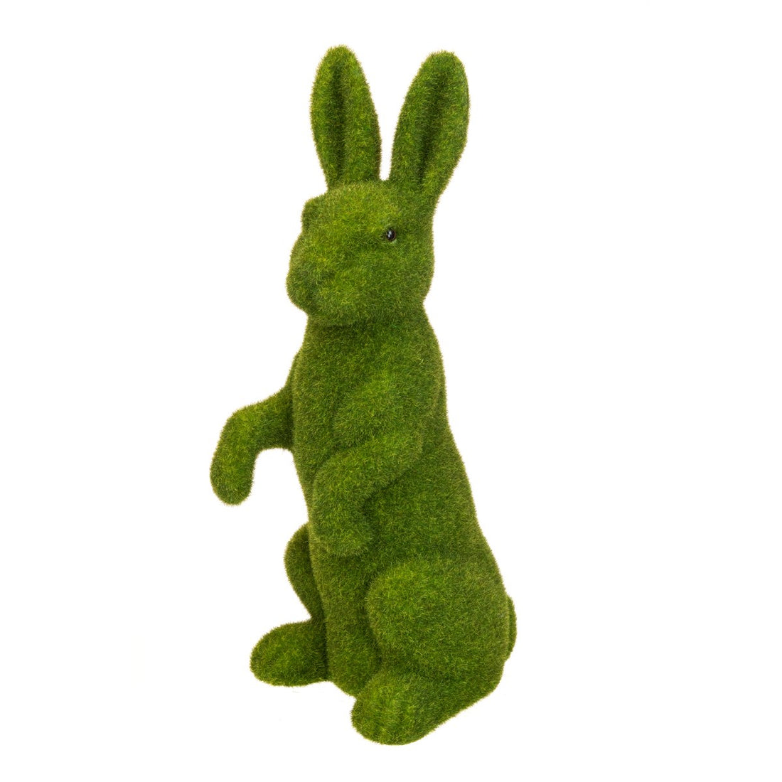 MOSS BUNNY