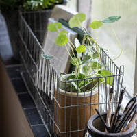 LONG WIRE ZINC BASKET