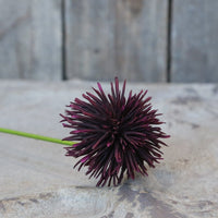 FLEUR DAHLIA
