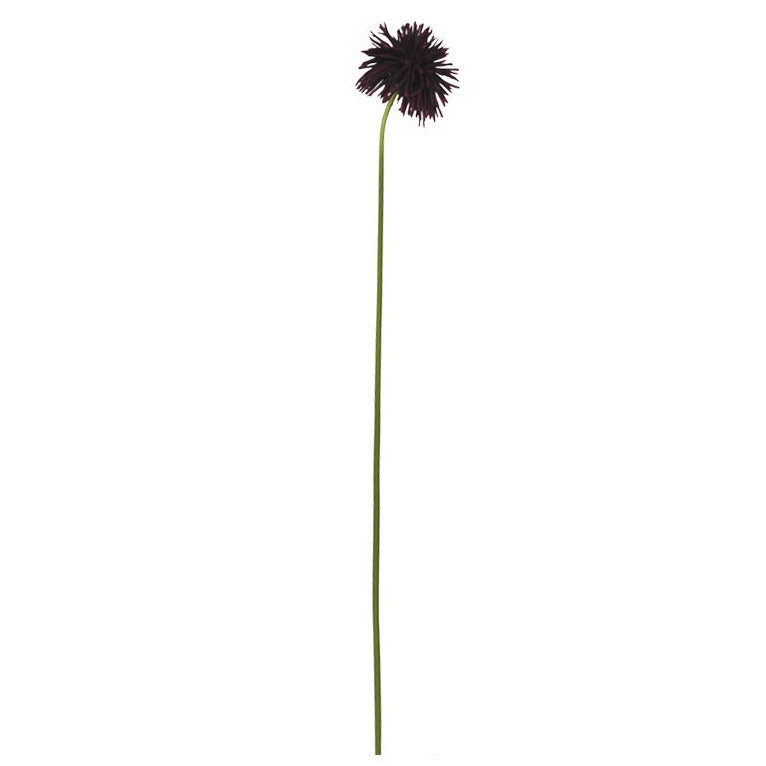 FLEUR DAHLIA