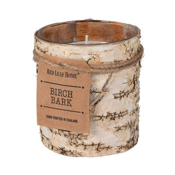 BIRCH CANDLE IN GLASS