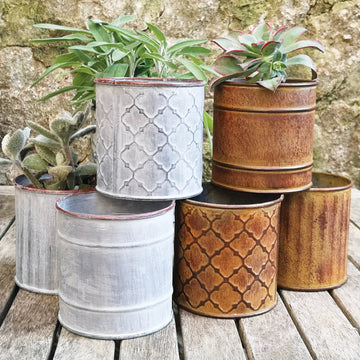 METAL CACTUS POT