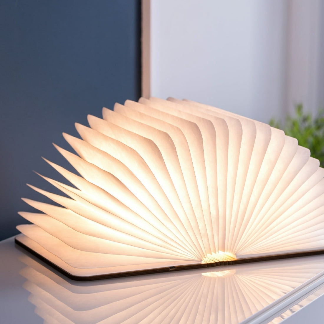 LARGE SMART BOOK LIGHT |  MAPLE