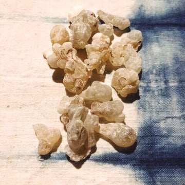 GREEN HOJARI BOSWELLIA SACRA (FRANKINCENSE RESIN)