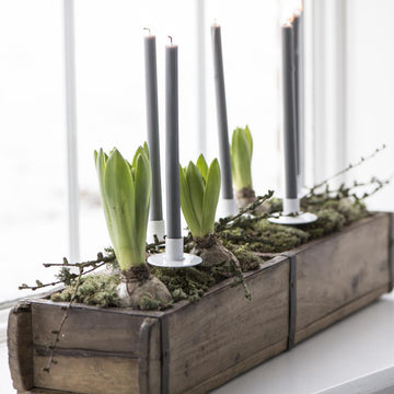 LONG TAPER CANDLE | BUNDLE OF 8