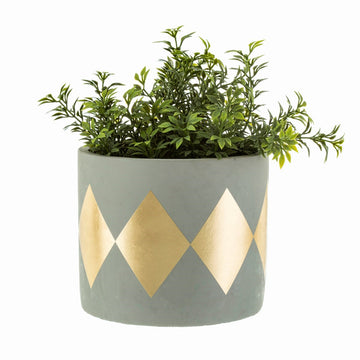 DINA GOLD DIP CEMENT PLANTER