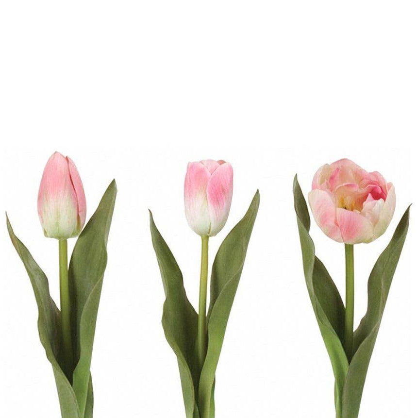 PINK TULIP MIX